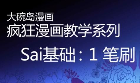 SAI高清教学视频1-16【视频】