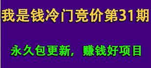 我是钱第31期网授课程网授课百度冷门竞价（完结）