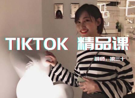 Tiktok精品实操课_单账号最高210W粉丝
