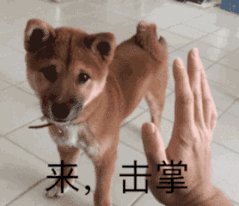 图片[1]-正规挣零花钱方法，奇思妙想也能变现换钱，我来揭秘-云上仙人说钱