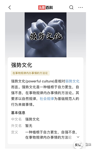 图片[7]-强势文化简单复制粘贴，一单299元-云上仙人说钱