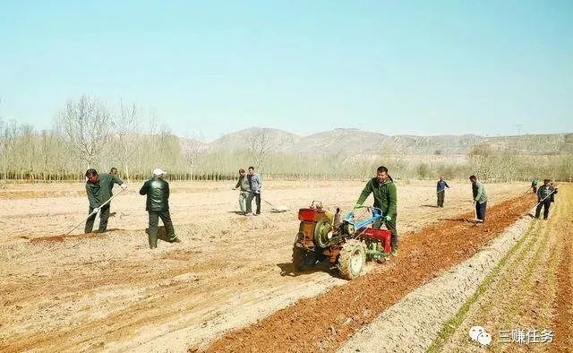 图片[4]-四种暴利小生意，入行门槛低，一天至少能挣300+！-云上仙人说钱