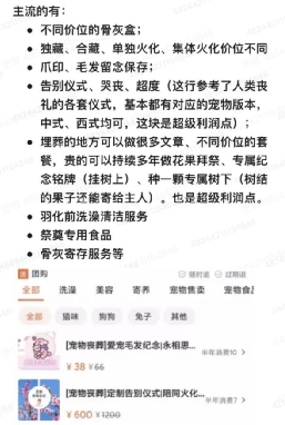 图片[1]-这两个冷门生意：宠物殡葬 和 消杀行业，感觉前景不错-云上仙人说钱