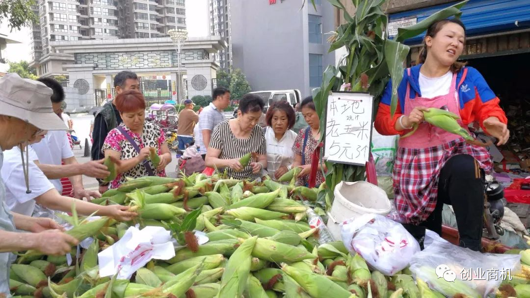 图片[3]-2000元起步投资，不起眼的小生意年入40万，两年买一套房！-云上仙人说钱