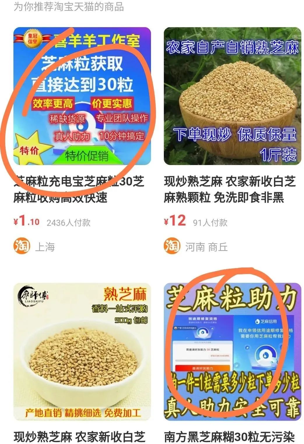 图片[3]-一元一粒的芝麻粒项目，教你如何日赚200+-云上仙人说钱