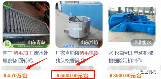 图片[4]-农村暴利养殖项目，才养三只黑猪，年收益60000-云上仙人说钱