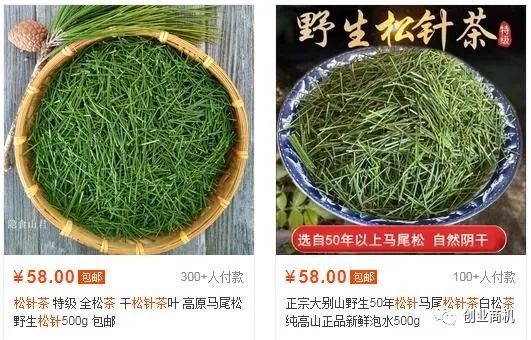 图片[3]-农村冷门小商机，38岁小伙花800元办松针茶厂，年纯赚45万。-云上仙人说钱