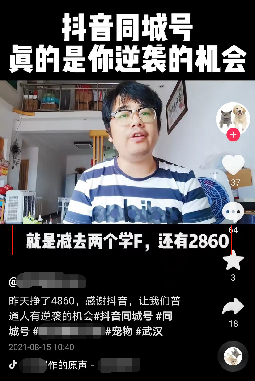 图片[6]-养一只狗，同城宠物号不花钱，不引流，一天闷声赚1000+，很简单的路子-云上仙人说钱