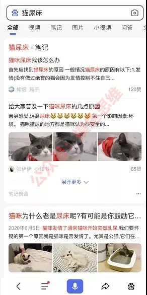 图片[1]-万物皆有虚拟资源，只需粘贴复制，冷门项目也能月入5w+-云上仙人说钱
