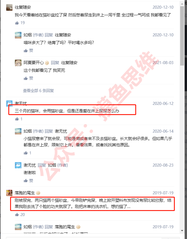 图片[5]-万物皆有虚拟资源，只需粘贴复制，冷门项目也能月入5w+-云上仙人说钱