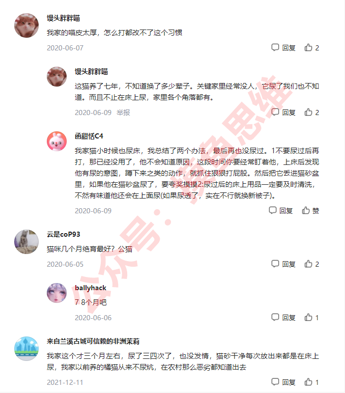 图片[6]-万物皆有虚拟资源，只需粘贴复制，冷门项目也能月入5w+-云上仙人说钱