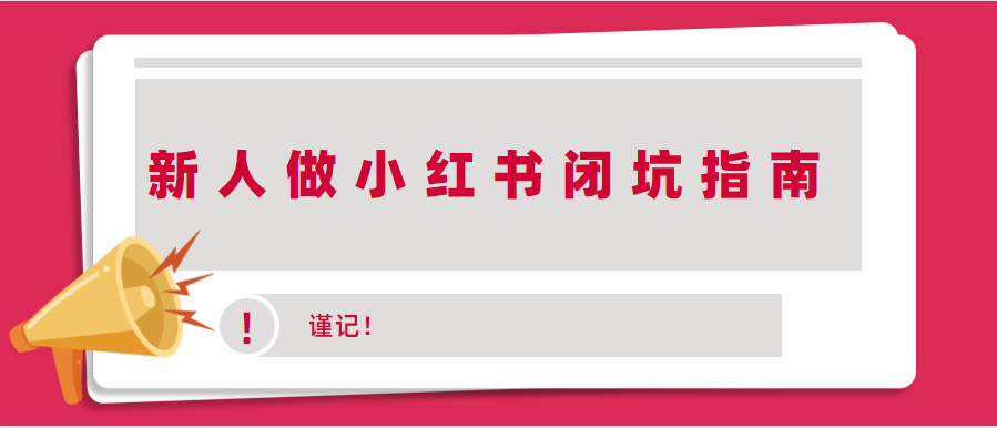 图片[2]-新手做小红书项目，两周轻松出爆款，秘诀分享！-云上仙人说钱