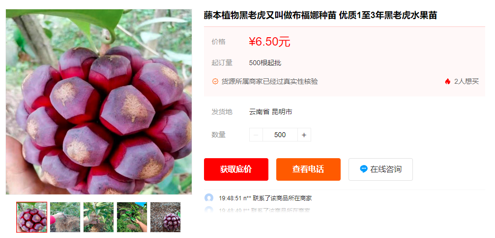 图片[3]-一亩投1万，净赚2万元，农村种植的好项目！-云上仙人说钱