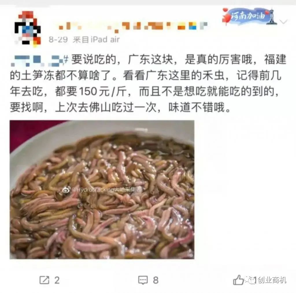 图片[1]-冷门养殖：禾虫，利润很吓人的冷门项目，300一斤，能年赚20-30万！-云上仙人说钱