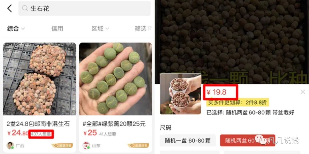 图片[13]-快速找到盈利项目的技巧，附多个案例拆解-云上仙人说钱