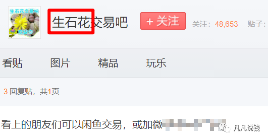 图片[12]-快速找到盈利项目的技巧，附多个案例拆解-云上仙人说钱