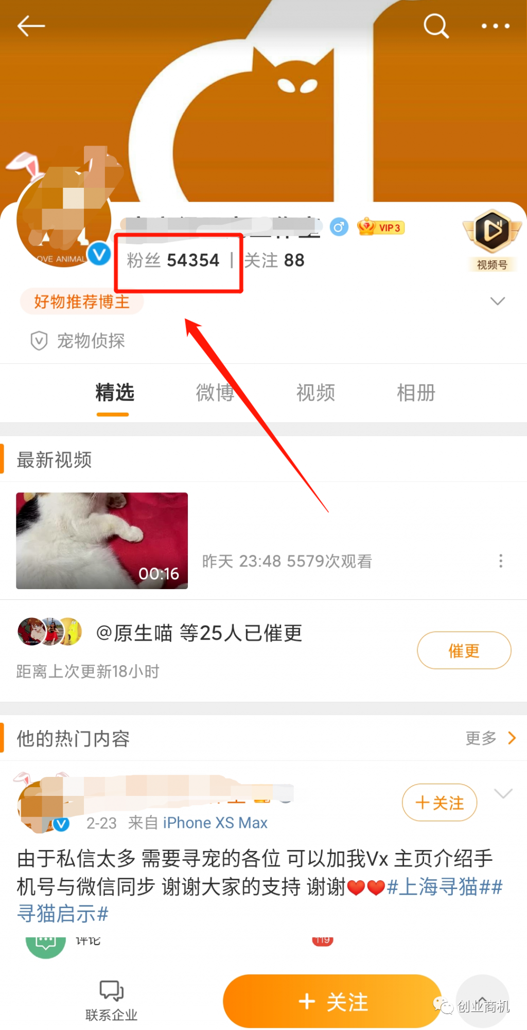 图片[6]-宠物侦探找猫狗，一个冷门暴利项目，一单上万利润惊人-云上仙人说钱