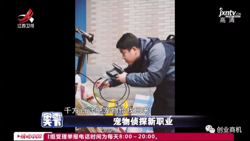 图片[2]-宠物侦探找猫狗，一个冷门暴利项目，一单上万利润惊人-云上仙人说钱
