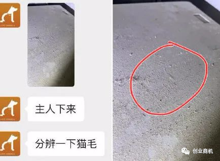 图片[4]-宠物侦探找猫狗，一个冷门暴利项目，一单上万利润惊人-云上仙人说钱
