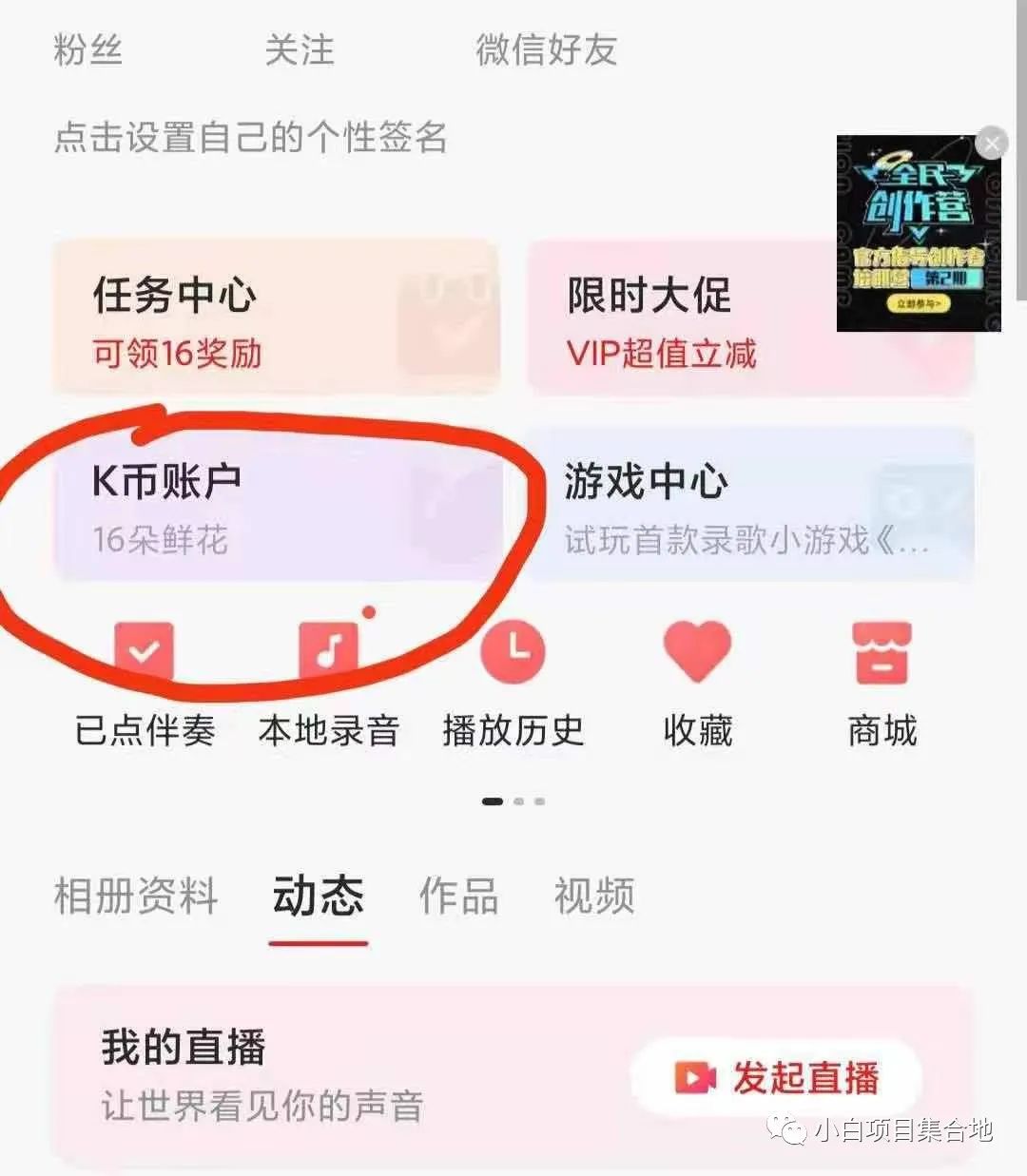 全民k歌 适合新手看完直接可落地的小项目（单号20元）