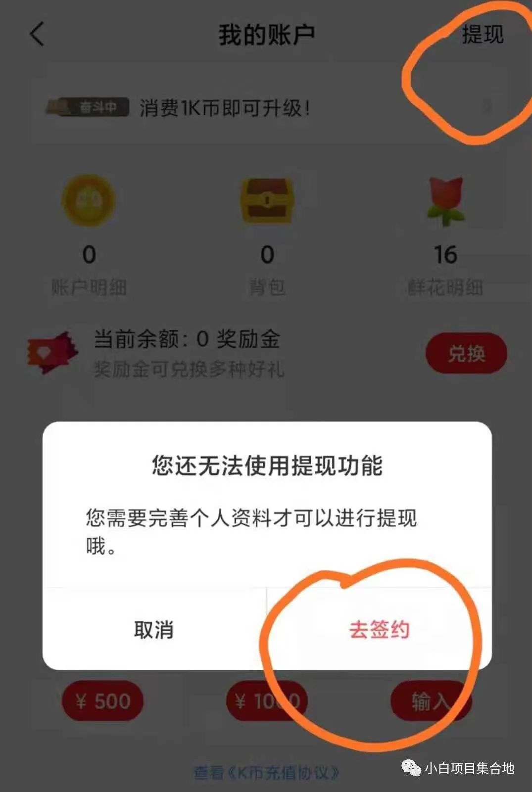 适合新手看完直接可落地的小项目