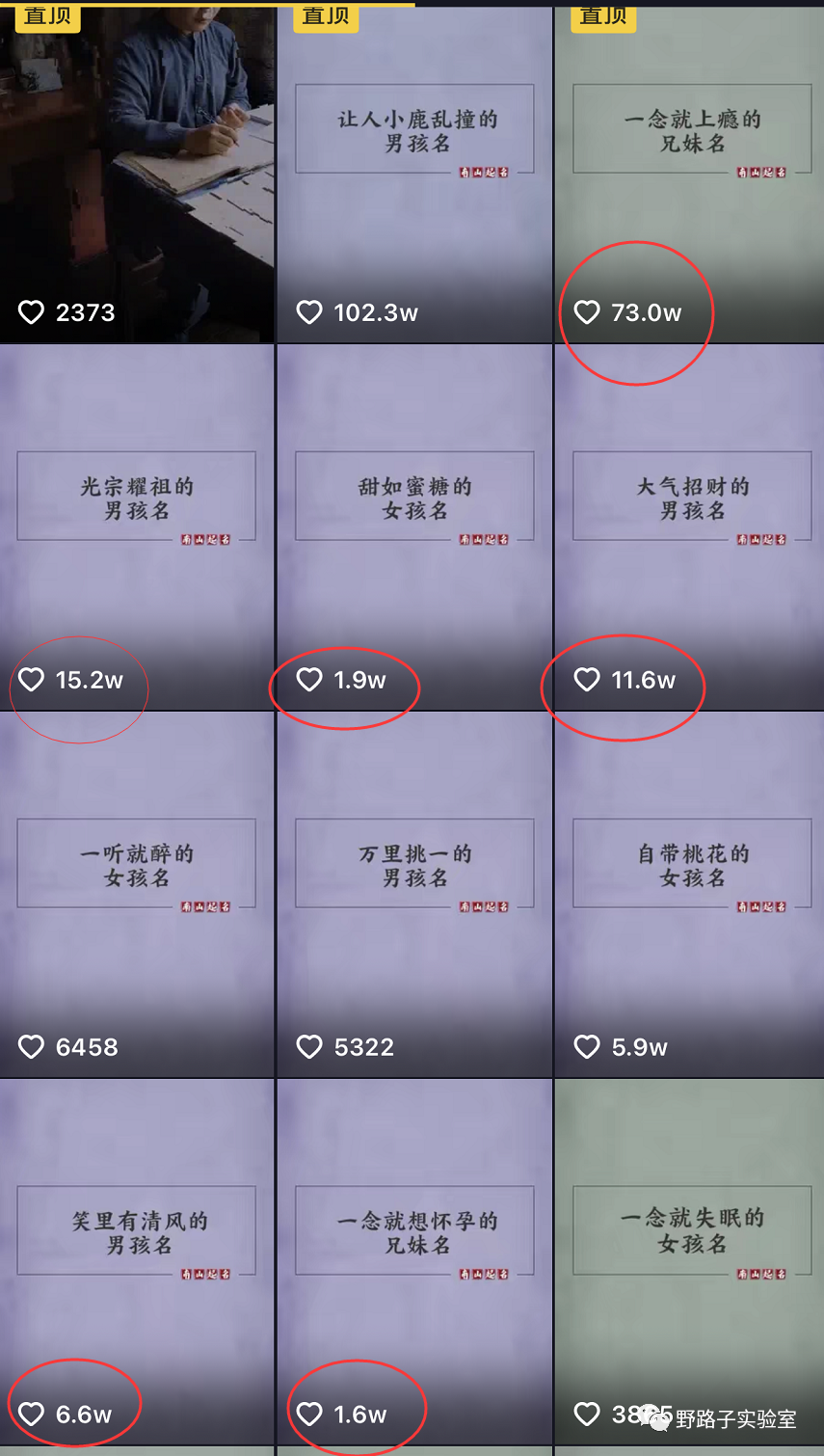起名项目玩法,一天收入500+ 起名项目玩法,一天收入500+
