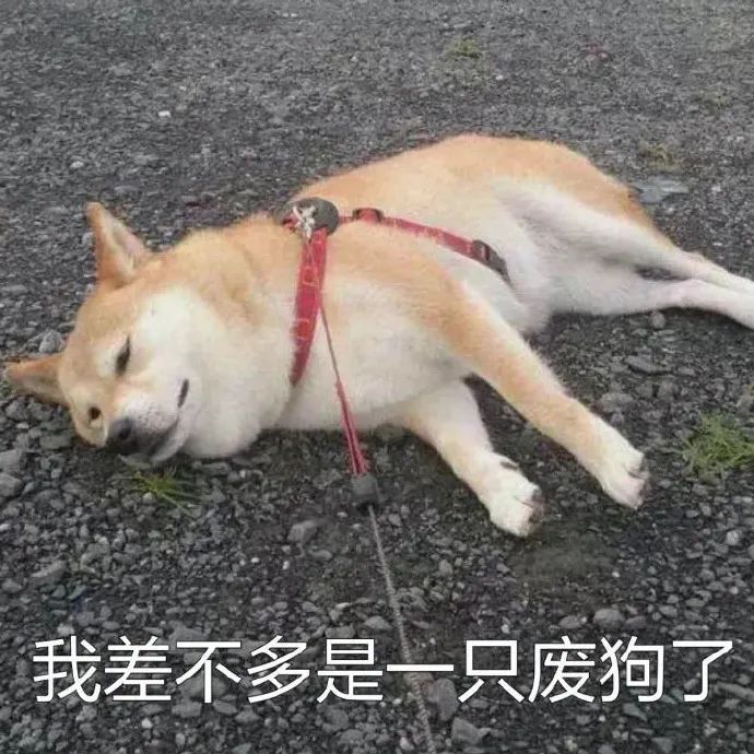 图片[1]-30岁就躺平！30岁住养老院，是一种怎样的体验……-云上仙人说钱