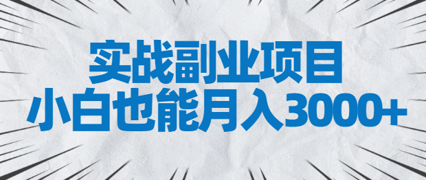 图片[1]-实战副业项目，小白也能月入3000+，易上手，人人可做【视频教程】-云上仙人说钱