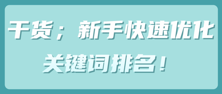 新手快速优化关键词排名！【SEO零基础视频教程】