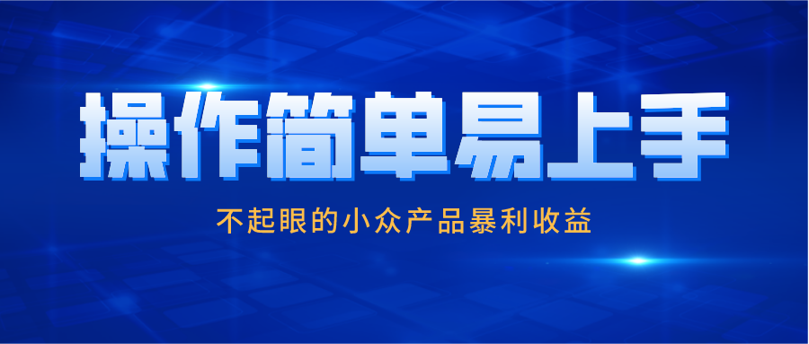 忠余网赚32计第十七计操作简单易上手不起眼的小众产品暴利收益