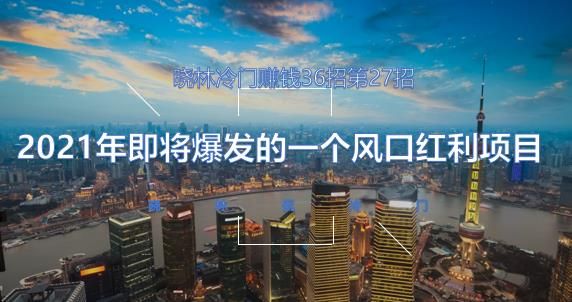 晓林冷门赚钱36招第27招2021年即将爆发的一个风口红利项目【视频课程】