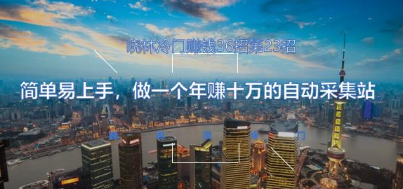 晓林冷门赚钱36招第23招简单易上手，做一个年赚十万的自动采集站【视频课程】