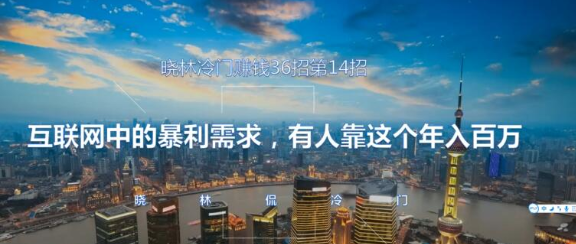 晓林冷门赚钱36招第14招互联网中的暴利需求，有人靠这个年入百万【视频课程】