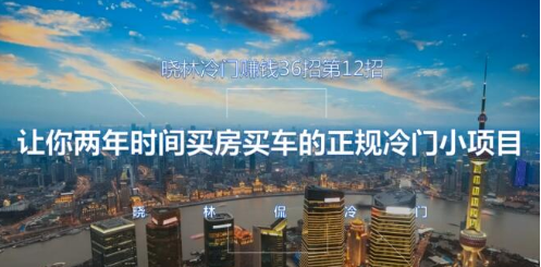 晓林冷门赚钱36招第12招让你两年时间买车买房的的正规冷门小项目【视频课程】