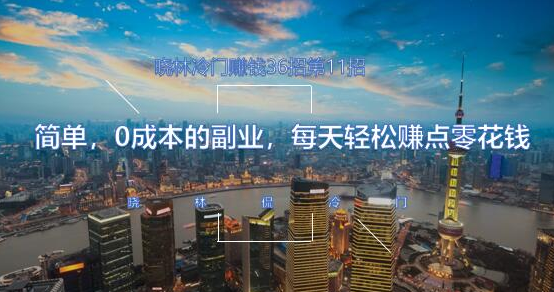 晓林冷门赚钱36招第11招简单，0成本的副业，每天轻松赚点零花钱【视频课程】