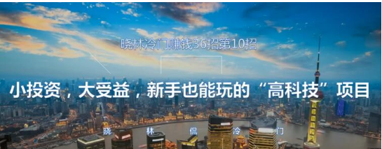 晓林冷门赚钱36招第10招小投资，大受益，新手也能玩的“高科技”项目【视频课程】