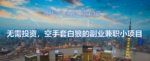 晓林冷门赚钱36招第9招无需投资，空手套白狼的副业兼职小项目【视频课程】