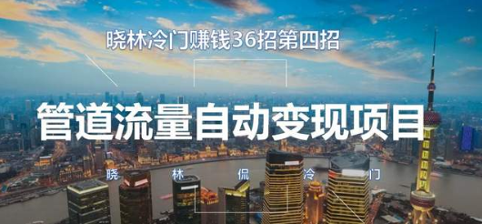 晓林冷门赚钱36招第5招低成本，大收益，安全正规的冷门项目【视频课程】