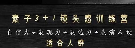 素子表现力训练营,提高自信力 表现力 表达力 表演人设,打造个人魅力ip