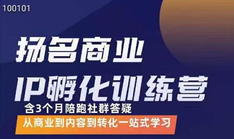 王扬名·商业IP孵化训练营,从商业到内容到转化一站式学习