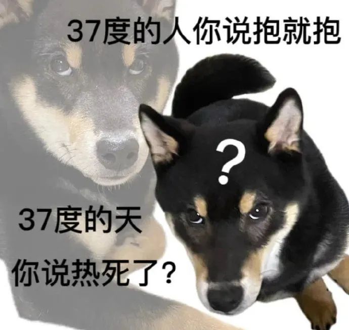 图片[3]-你不想打工，来试试这7个自由职业者平台-云上仙人说钱