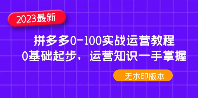 2023年拼多多0-100实战运营教程，0基础起步，运营知识一手掌握（无水印）