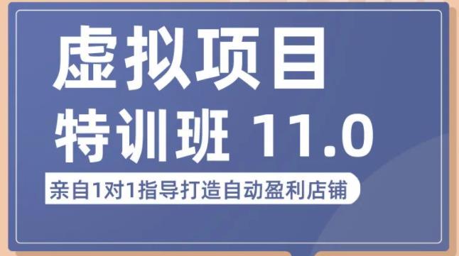 陆明明·虚拟项目特训班(10.0+11.0),0成本获取虚拟素材,0基础打造自动盈利店铺