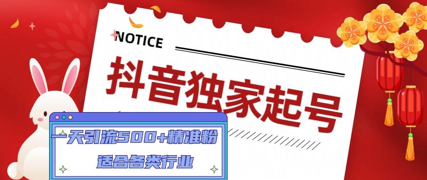 抖音独家起号,一天引流500+精准粉,适合各类行业(9节视频课)