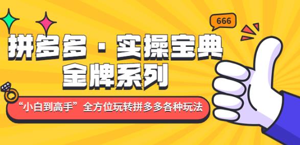 拼多多·实操宝典:金牌系列“小白到高手”带你全方位玩转拼多多各种玩法
