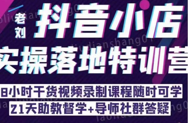 抖音小店实操落地特训营:抖音小店无货源精细化运营,抖店商品卡流量(22节)
