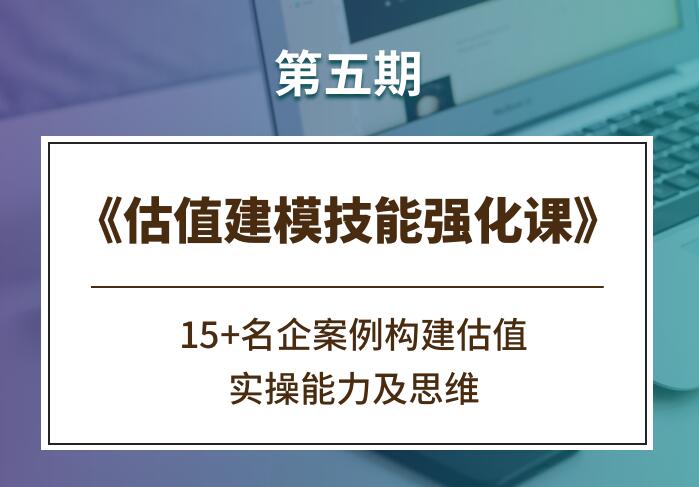 2022估值建模技能强化课《第五期》