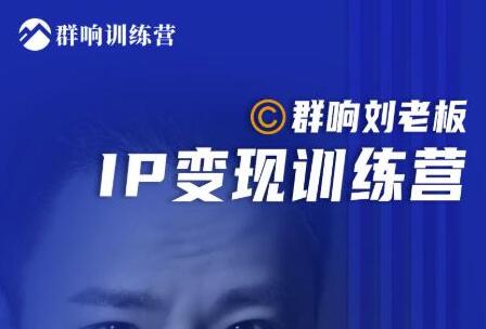 群响·刘老板：IP变现训练营第6期