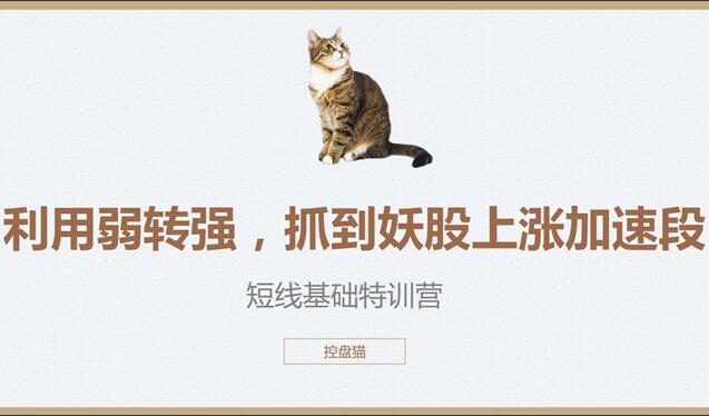 控盘猫短线基础特训营:教你抓住妖股上涨加速段！