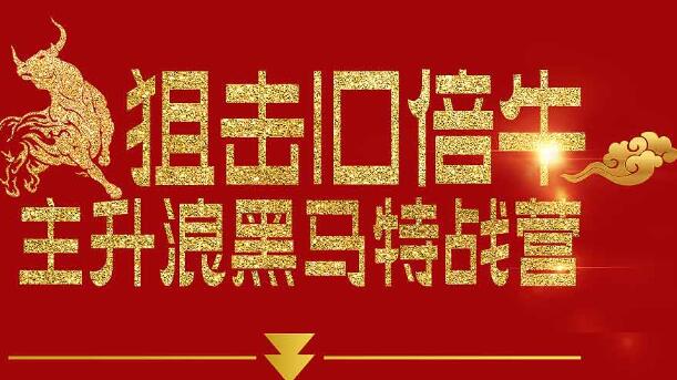 一刀战法选股公式：刀哥主升浪黑马特战营课程